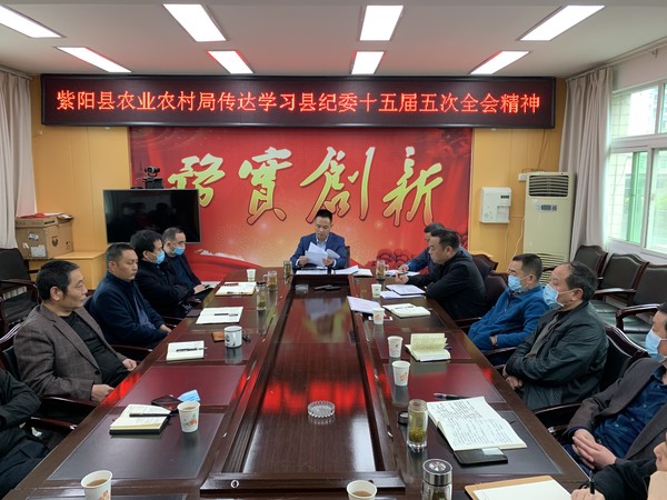 紫阳县农业农村局学习贯彻县纪委十五届五次全会精神.jpg