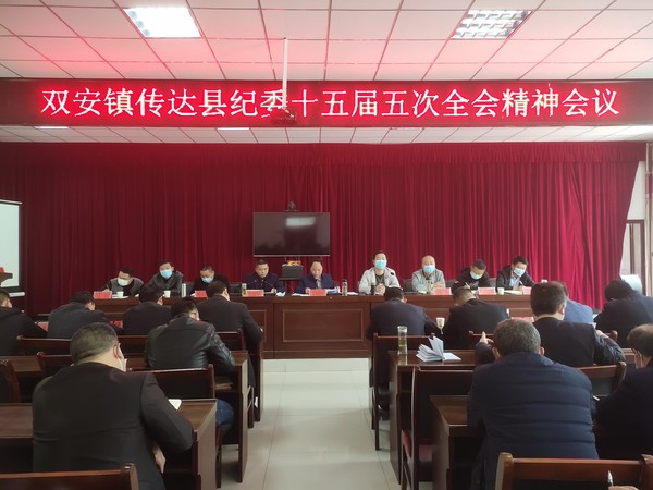 (0422)双安镇贯彻落实县纪委十五届五次全会精神.jpg